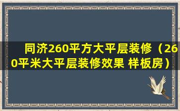 同济260平方大平层装修（260平米大平层装修效果 样板房）